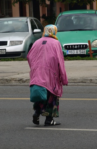 Another wanderer we saw today. 