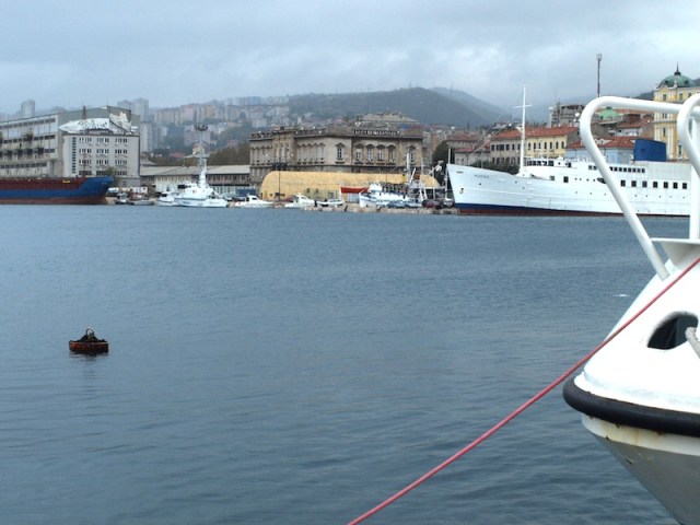 The view from the café table. 
