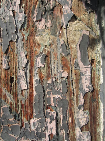 Door of many colours. How many coats, by how many people, how long ago? 