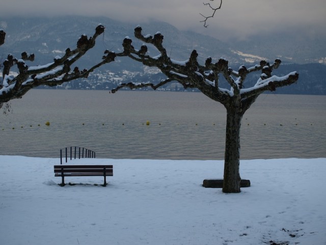 Summer season swimming enclosure. 