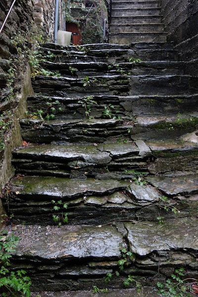 In the region there are extensive deposits of mudstone, just the material for step and house building.