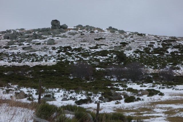 The granite tors today reminded me of Mt Buffalo in the Victorian Alps of southern Australia. 