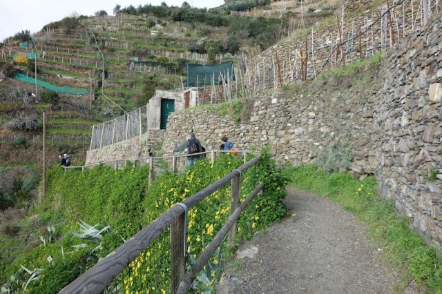 The start of the track. 