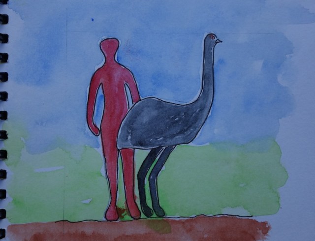 A sketch showing the size of an emu. Emus can attain the height of 2 metres and weigh up to 70 kilograms.