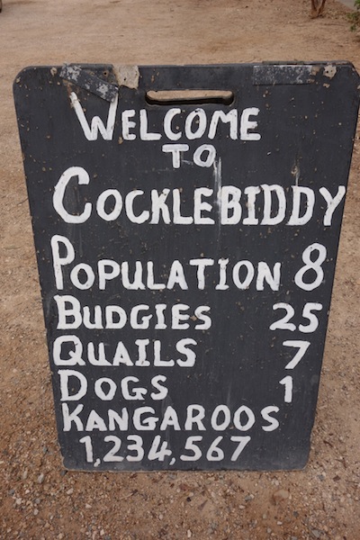 Sign at Cocklebiddy Roadhouse warning of kangaroo numbers. A budgie is a small grass parrot and they can flock in their thousands. 