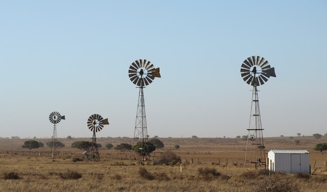 Windmills. Technically these are not windmills but windpumps; a mill grinds grain.