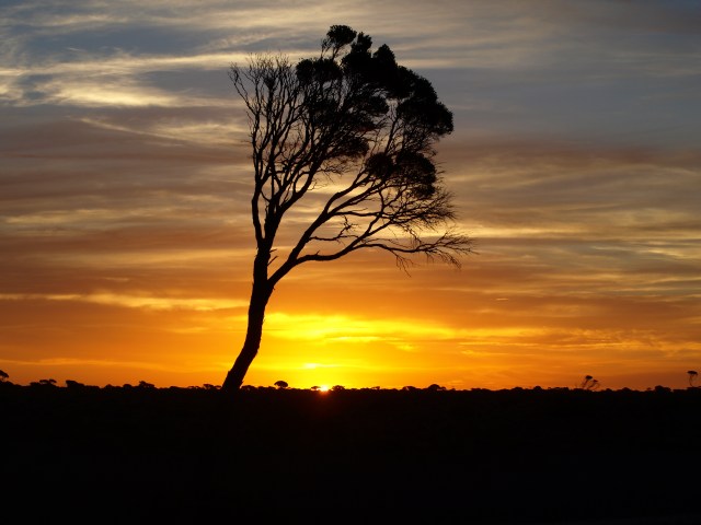 What a way to end the day!