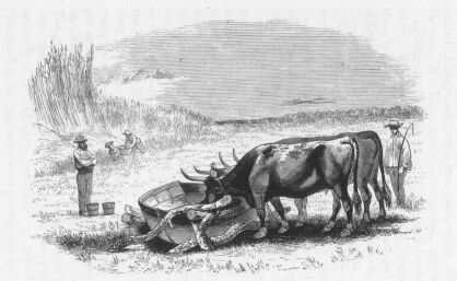 First use of boats during the Mitchell expedition along the Bogan.