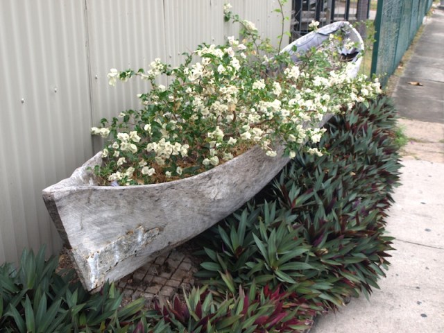 Smaller dugout of a past era. I do appreciate the work involved with the making of such craft, especially in light of no power tools or chainsaws being available at the time. 