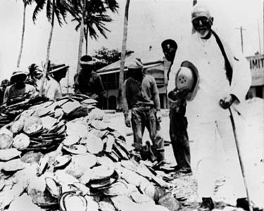 A stockpile of pearl shell, one of the sought-after resources.