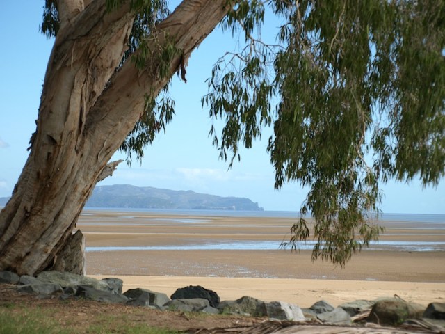 Low tide Shoal Point near Mackay. 