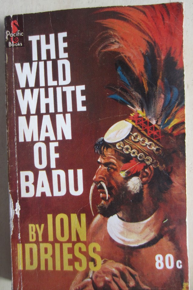 Front cover of Idriess book.