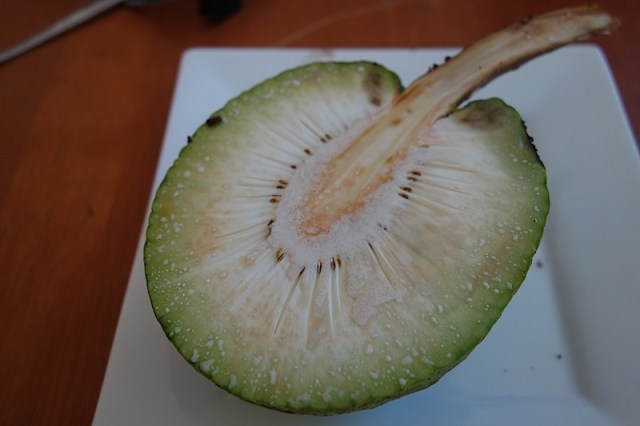 Breadfruit exposed. A mature breadfruit can reach 20 cm in diameter and can weigh up to 4kg. 