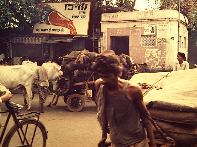 The down-trodden labouring class destined to a life of poverty. What is he thinking? Note the cart load of buffalo carcasses in the background.