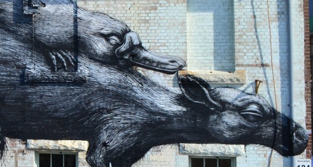 Platypus and kangaroo, Cockatoo Island 