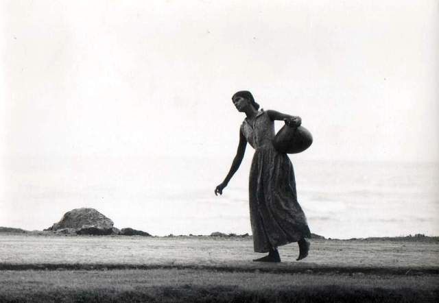 Grace and dignity. For the photo buffs….Asahi Pentax Spotmatic, 300m telephoto lens, Ilford b & w film. Taken into a glaring low sun. 