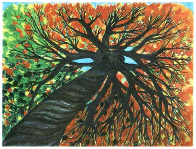  Greg Hochman’s impression of a Tree of Liberty. Thanks to Greg for the use of your painting. For more paintings by Greg go to www.artandarts.com 