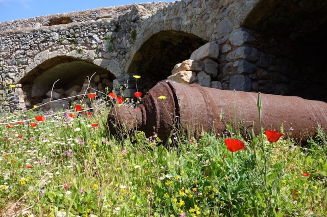 Dead cannon at the fortress. Resting in the poppies is the best place for it. 