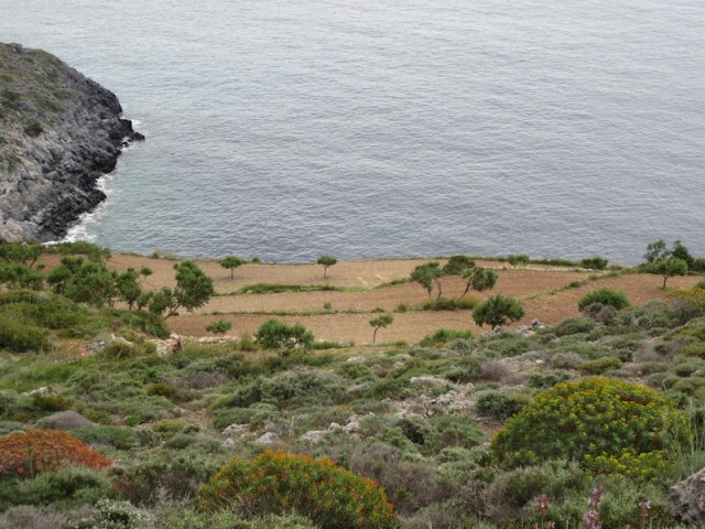 Very serious terracing. 