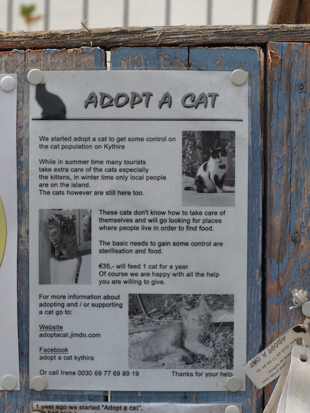 Adopt a Cat poster. 