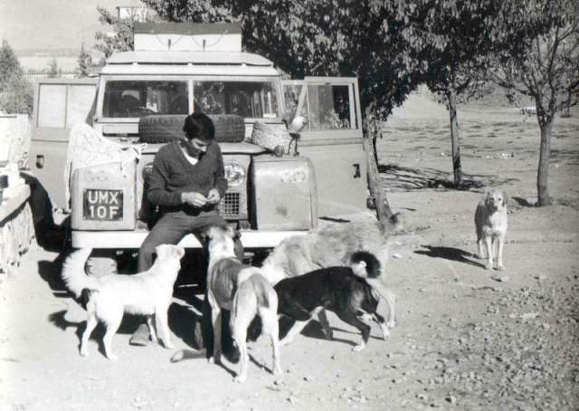 Here I am feeding the strays in Pakistan. during the overland drive in 1970. My concern for the welfare of dogs is not recent.