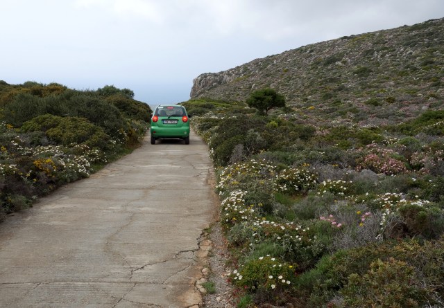 Wildflowers galore on the way out. 