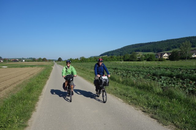 On the road to Zurich. The plants growing on the right hand side are rhubarb. I was dreaming of stewed apple and rhubarb. 