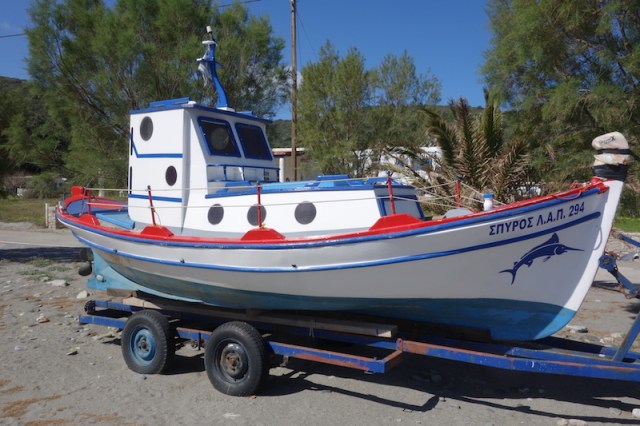 Waiting for summer to come. 