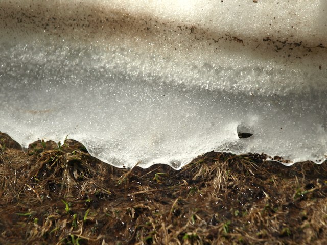 The frontline of the thaw. A trillion drops like these turn into torrents.