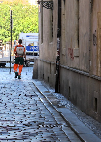  A council worker out early deodorising and sanitising. 