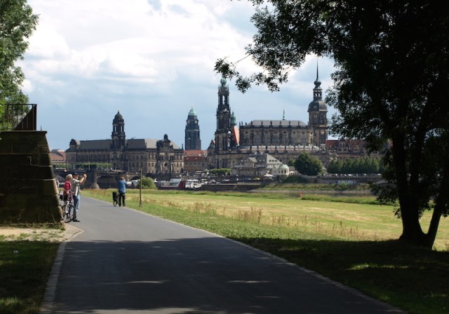 Meadowlands between the bike path and the River Elbe. 
