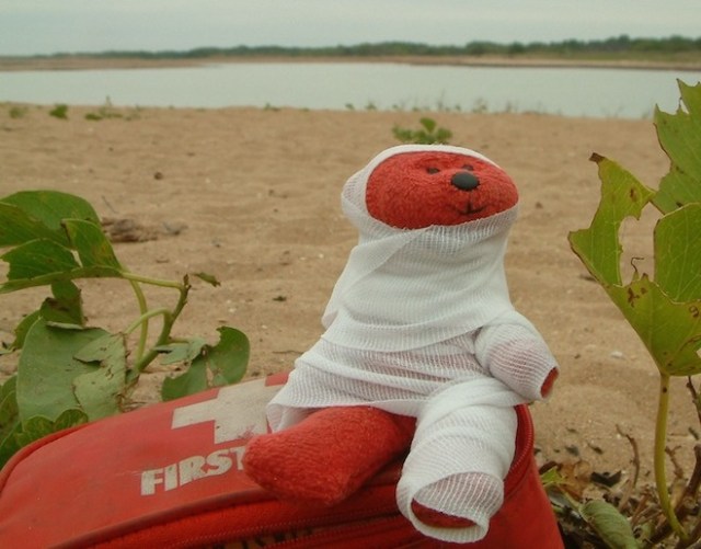 First aid after being bitten by green ants.