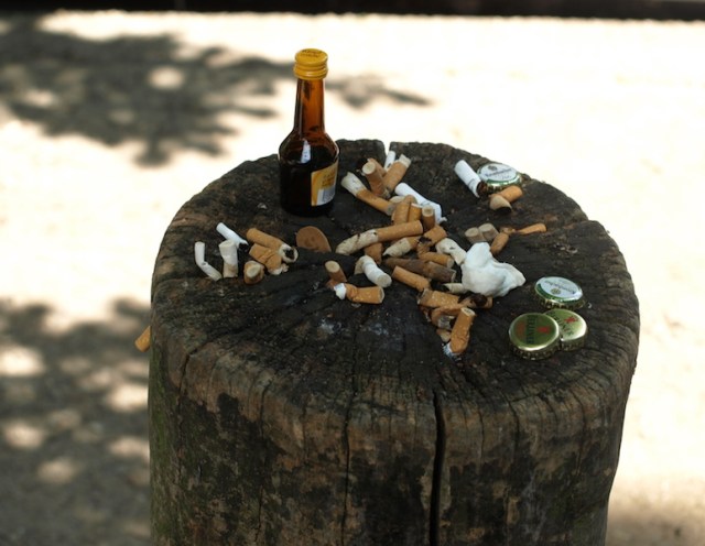 Detritus where tourists board Spreewald gondolas. 