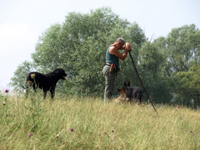 Shepherds and bike riders have one thing in common: time to think. 