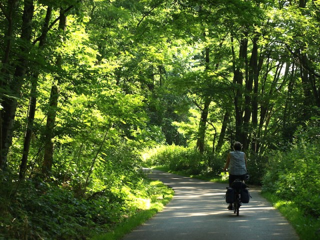 Early forest hues. It’s impossible to describe the joy of riding through such a beautiful forest and on such a good surface, not sett-like at all. 