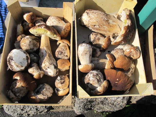 Some of the local produce. 