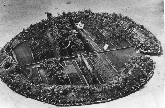Victory Garden in a bomb crater. Image credit: National Archives and Records Administration Franklin D. Roosevelt Public Domain Library. 