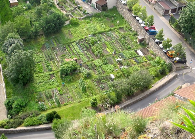 View of communal gardens from part way up the pathway of Chapel of Saint Michel d’Aigulhe.