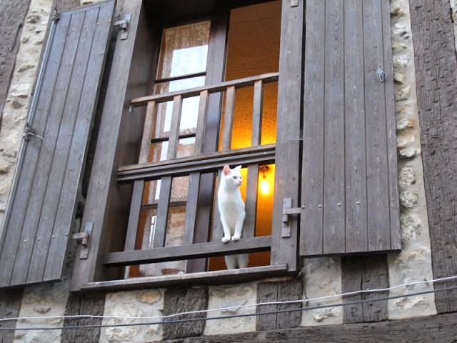 Window detail of a columbagian house, Nontron. 