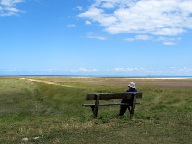 Salt flats and marshlands near Dinan on the way to Mont St Michel. 