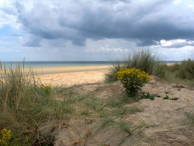 A quiet reflective spot in the dunes overlooking Utah Beach. quiet reflective spot in the dunes overlooking Utah Beach. 