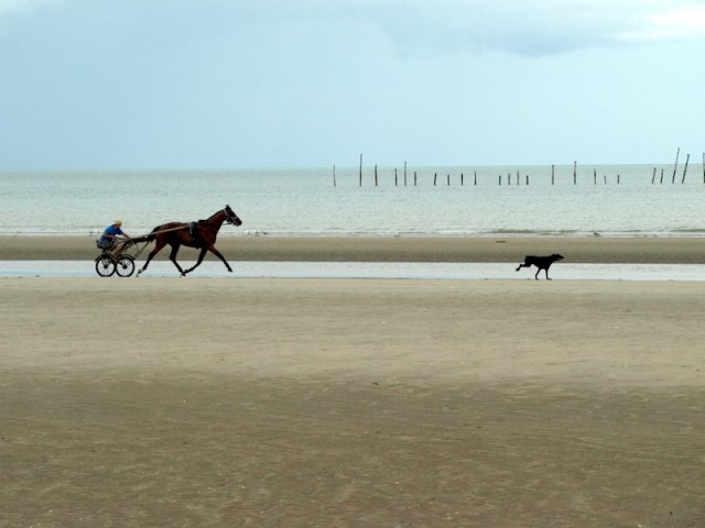A trotter and his dog passing along Utah Beach. 