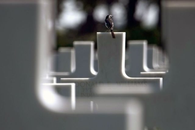 Lest we Forget, a creative image by Joel Saget. June 2009. American cemetery in Colleville-sur-Mer Omaha Beach. Image credit: Joel Saget/AFP/Getty Images via via http://vcepinc.org web page