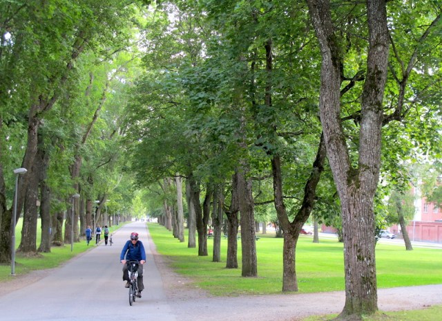 Riding an avenue in Uppsala. 