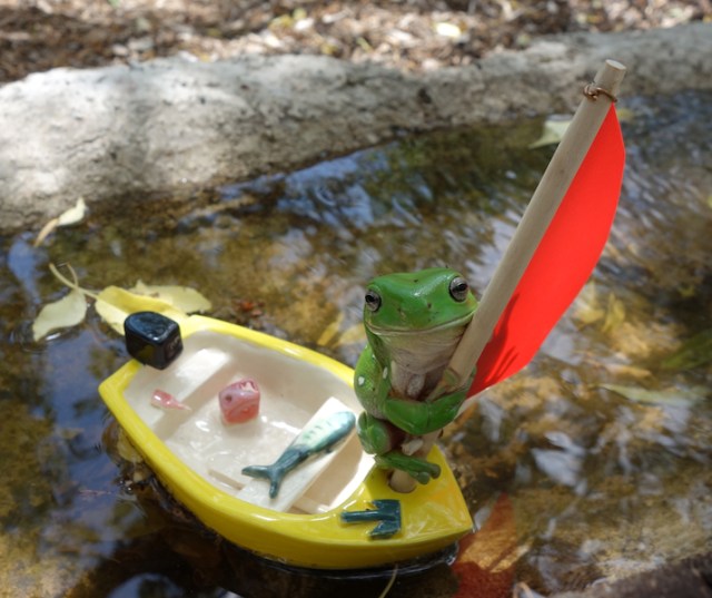 A ceramic tinnie (aluminium runabout), in the birdbath on our property. The frog is real, it decided it wanted to go sailing. 