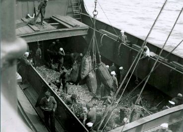 Coaling a ship. Image from warmuseum.ca 