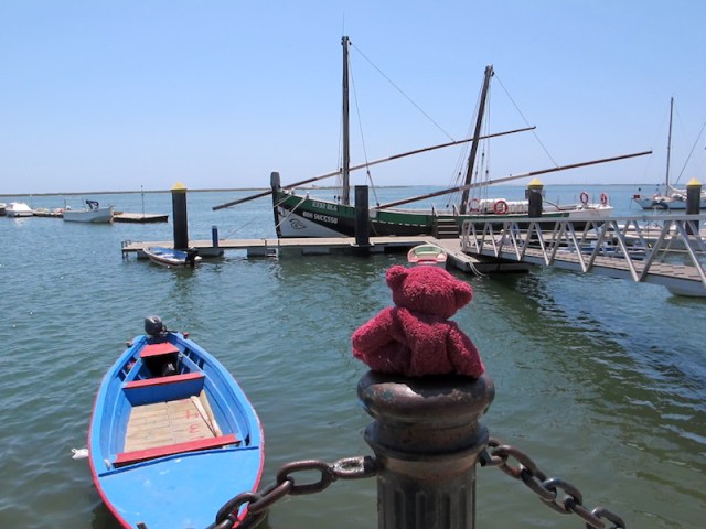 BBear longing to get off the handlebars of my bike and go to sea. Both boats in this photograph are traditional vessels of the area. 