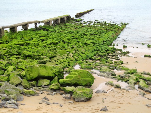 Low tide along the way. 