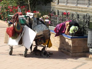 What appears to be a homeless lady with everything she owns in a supermarket trolley. Note the dog asleep in the shade of the trolley. 