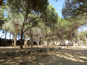 The area where we camped in 1973.  